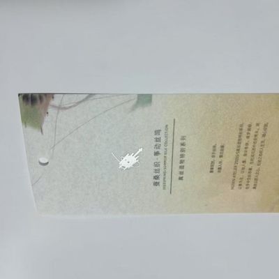 Kompostierbares T-Shirt Hängetag Kundenstil Kleidung Swing Tags ODM